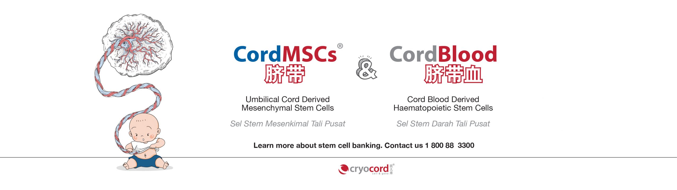 Advancing Regenerative Medicine Through CryoCord